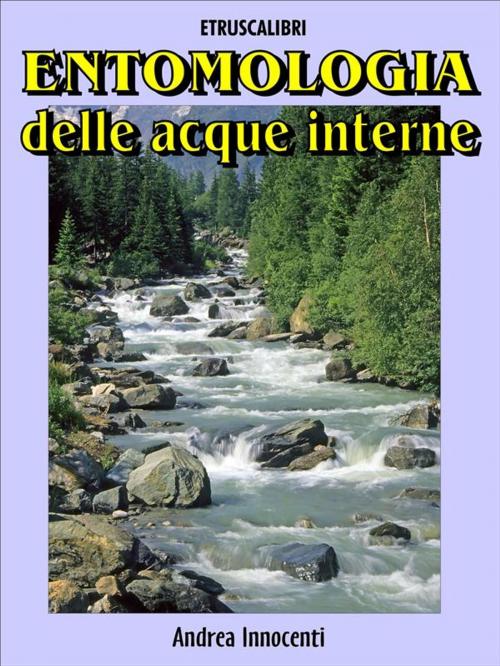 Cover of the book Entomologia delle acque interne by Andrea Innocenti, Etruscalibri