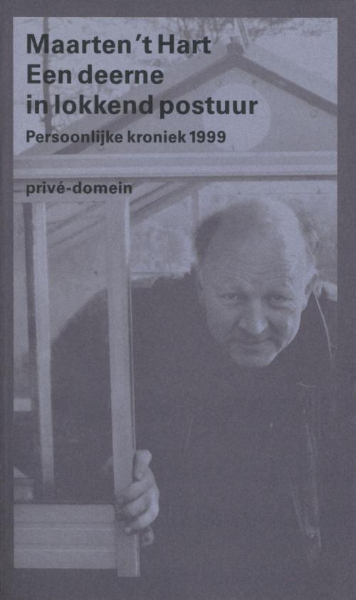 Cover of the book Een deerne in lokkend postuur by Maarten 't Hart, Singel Uitgeverijen