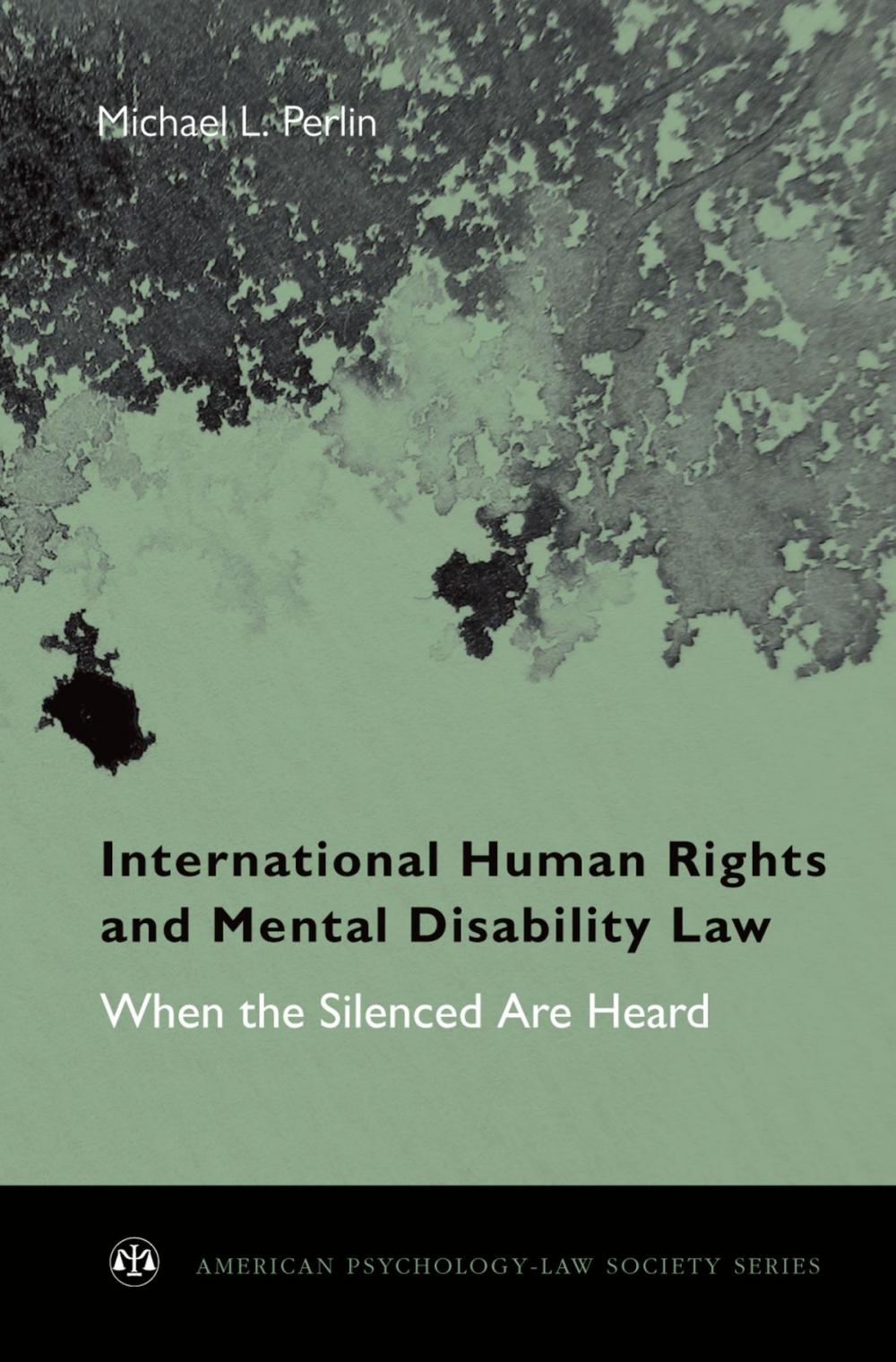 Big bigCover of International Human Rights and Mental Disability Law