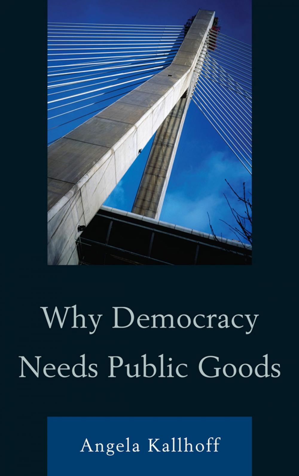 Big bigCover of Why Democracy Needs Public Goods