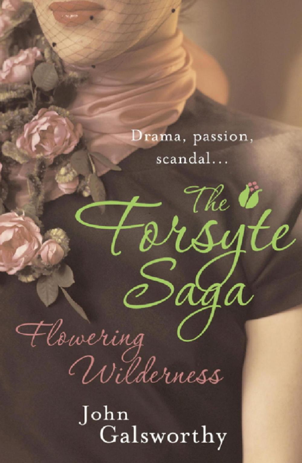 Big bigCover of The Forsyte Saga 8: Flowering Wilderness