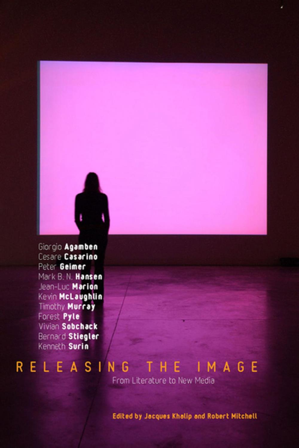 Big bigCover of Releasing the Image