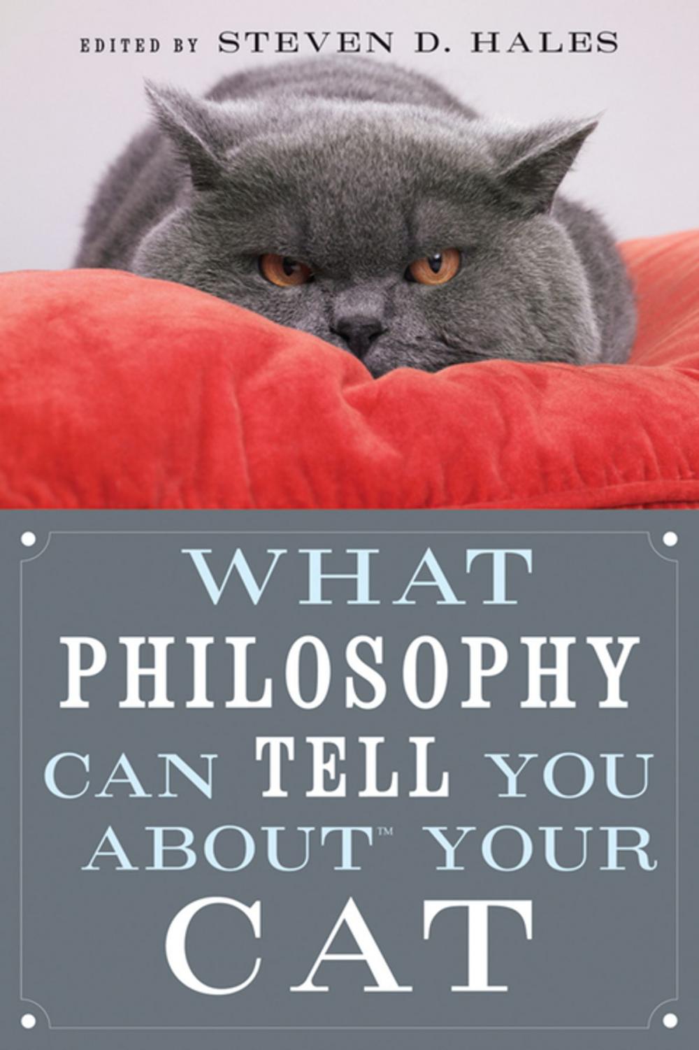 Big bigCover of What Philosophy Can Tell You about Your Cat