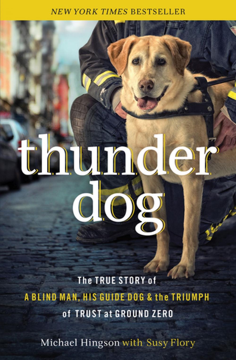 Big bigCover of Thunder Dog
