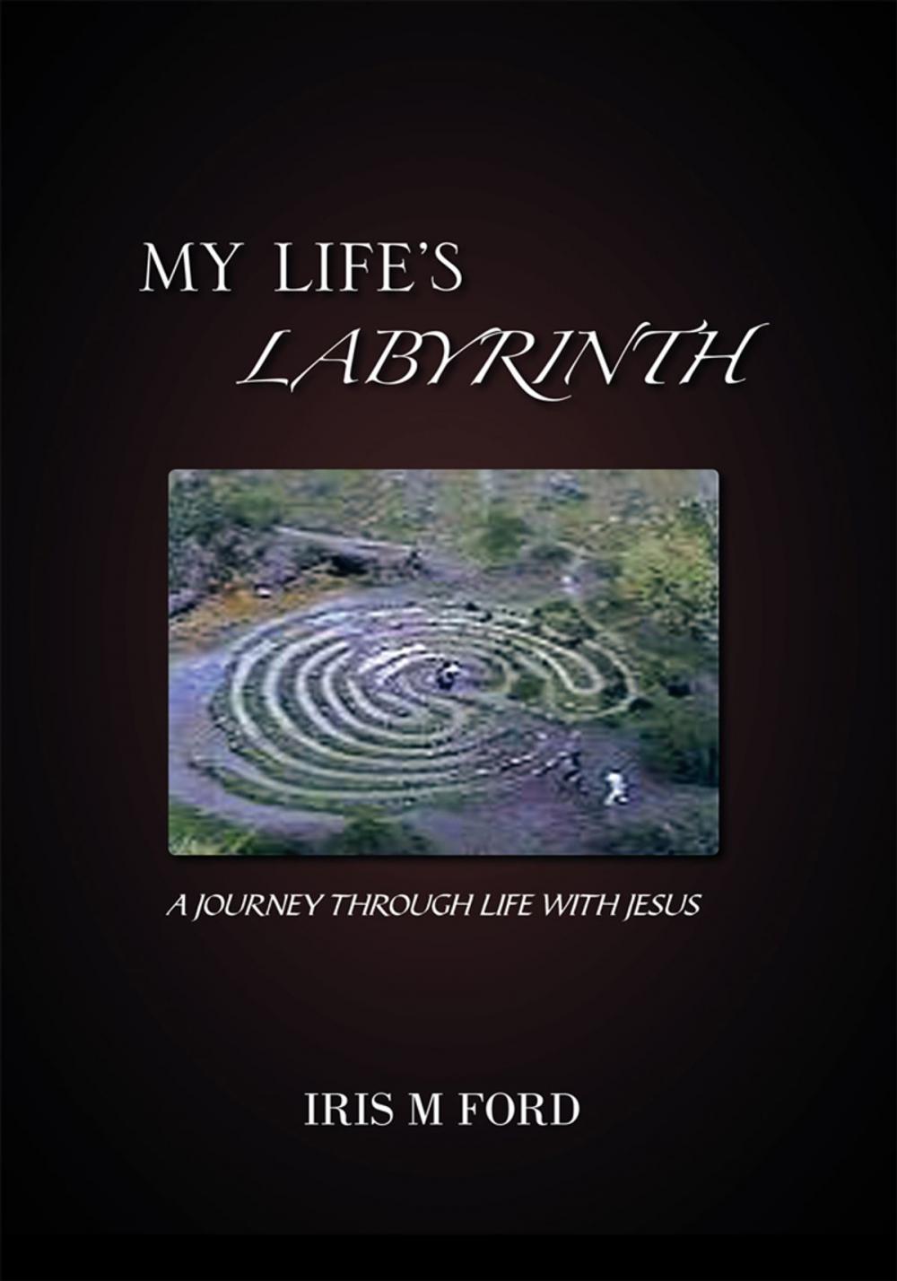 Big bigCover of My Life's Labyrinth