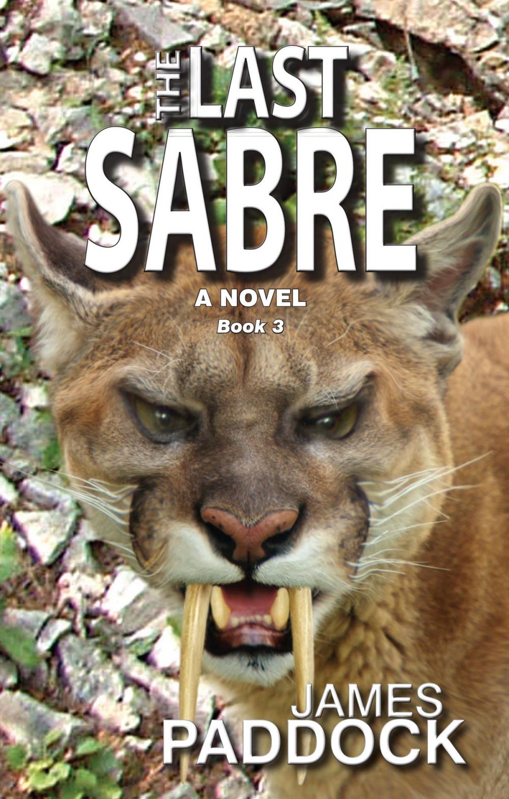 Big bigCover of The Last Sabre