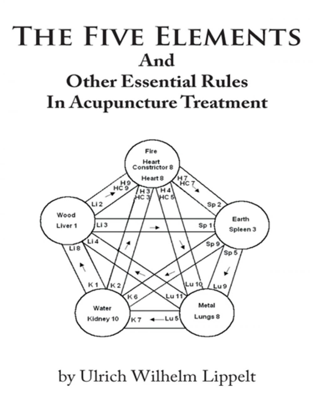 Big bigCover of The Five Elements and Other Essential Rules in Acupuncture Treatment