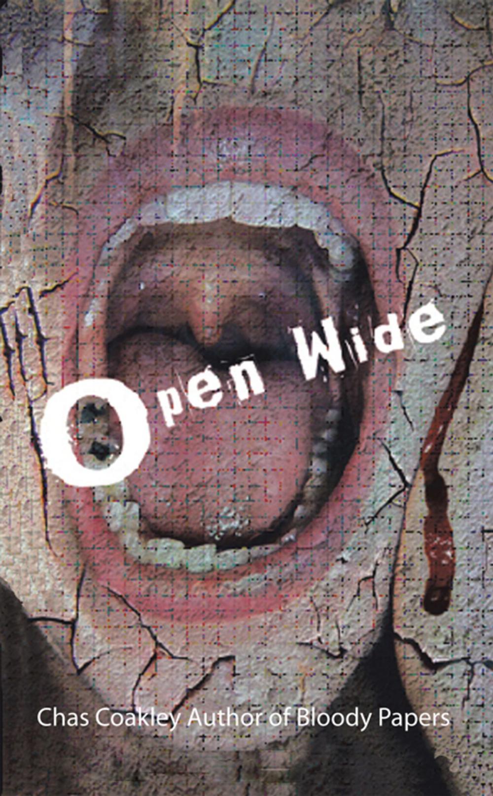 Big bigCover of Open Wide