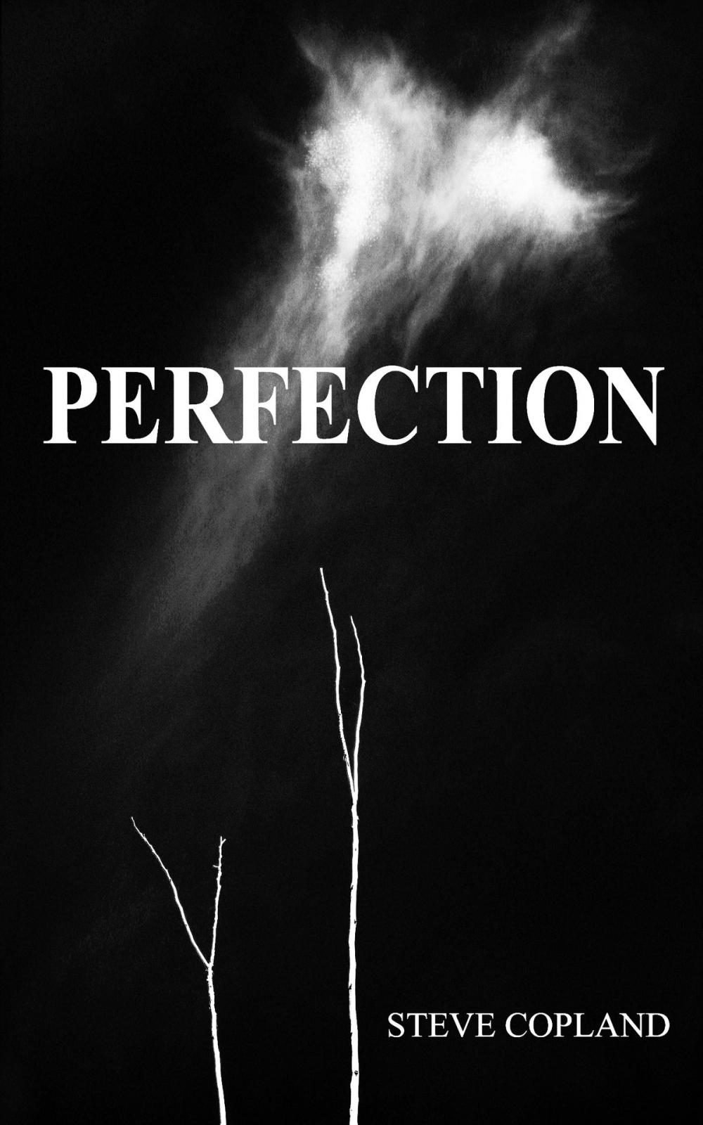 Big bigCover of Perfection