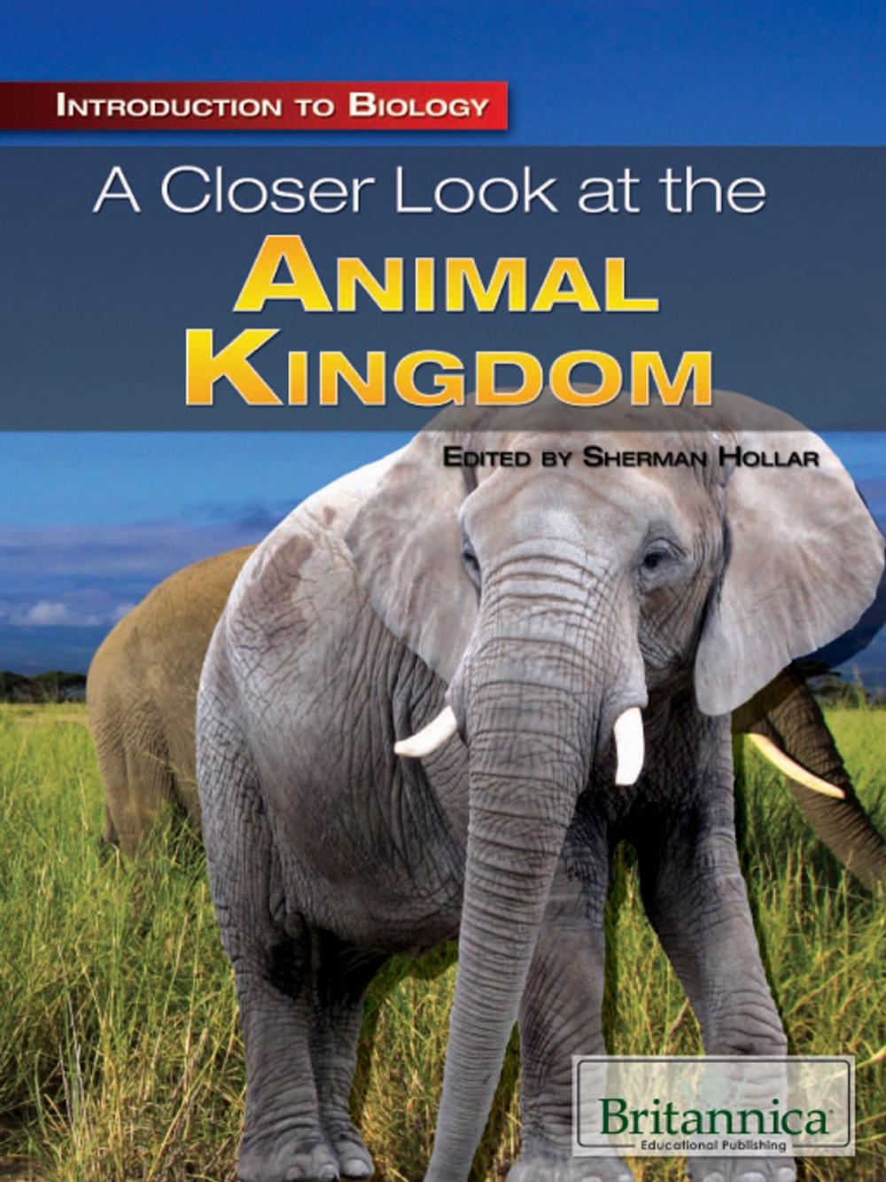 Big bigCover of A Closer Look at the Animal Kingdom