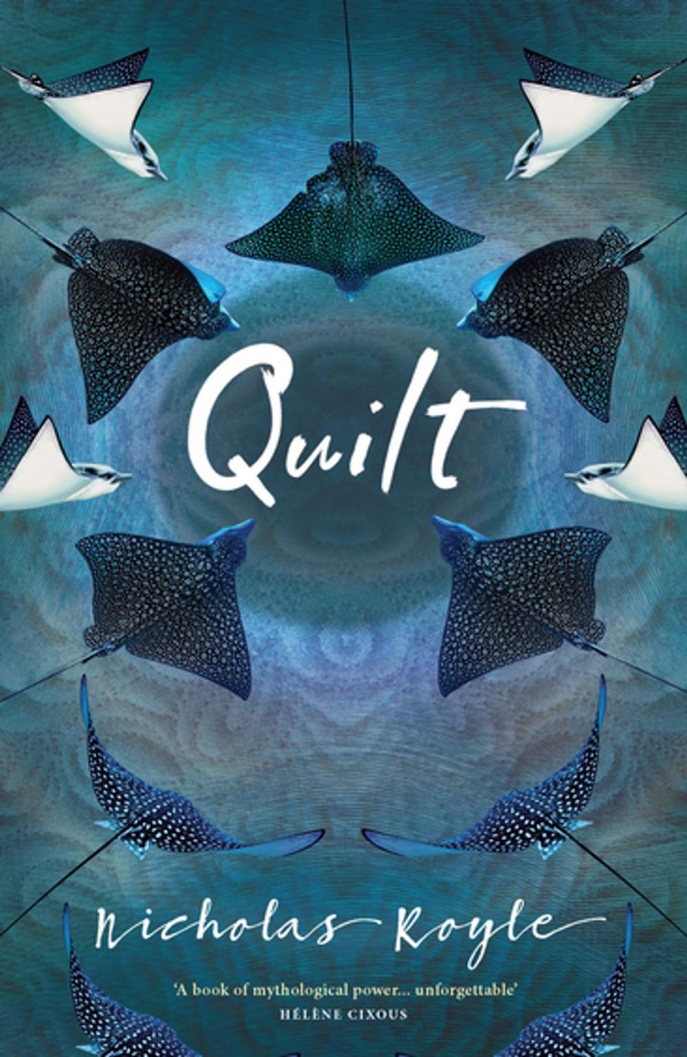 Big bigCover of Quilt