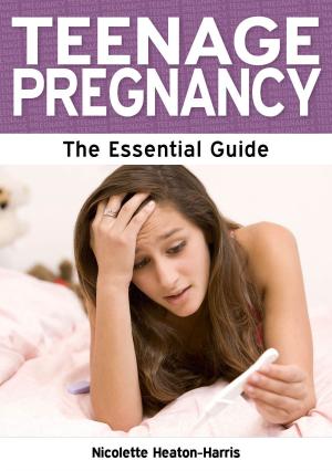 Cover of the book Teenage Pregnancy: The Essential Guide by Camilla Chafer