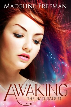 Cover of the book Awaking by Kim Schubert