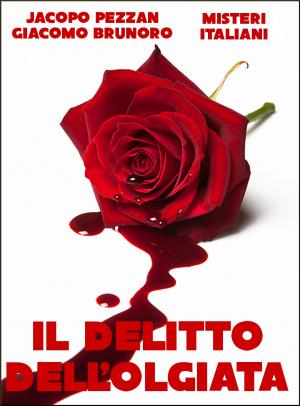 Book cover of Il delitto dell'Olgiata