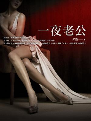 Cover of the book 一夜老公 卷一 by Anne Stuart