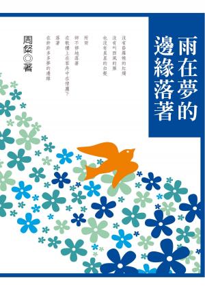 Cover of the book 雨在夢的邊緣落著 by Mid-Continent Oceanographic Institute