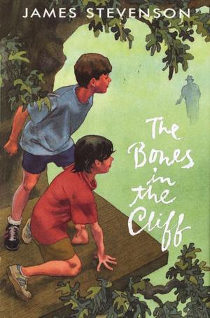 Cover of the book The Bones in the Cliff by Lindsay Cummings