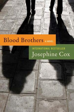 Cover of the book Blood Brothers by Tim Dorsey