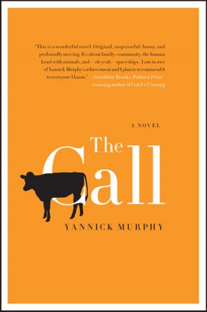 Cover of the book The Call by Armistead Maupin