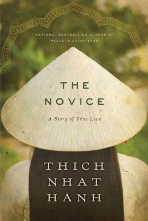 bigCover of the book The Novice by 