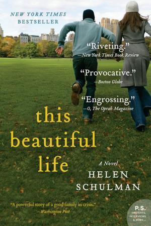 Cover of the book This Beautiful Life by James Scott