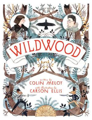 Cover of the book Wildwood by C. J. Redwine