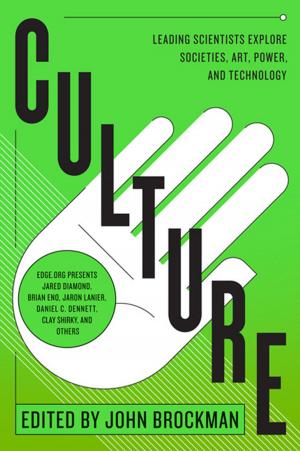 Cover of the book Culture by Rachelle Bergstein