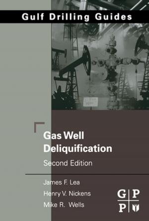 Book cover of Gas Well Deliquification