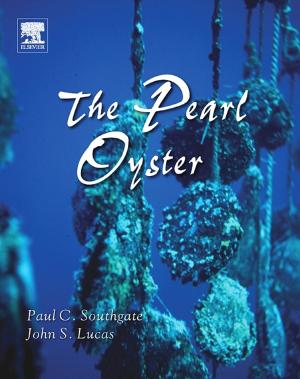 bigCover of the book The Pearl Oyster by 