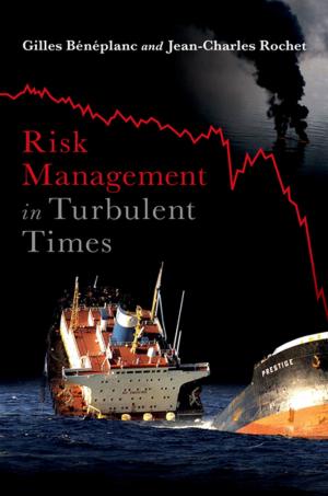 Cover of the book Risk Management in Turbulent Times by Jeffrey Summit