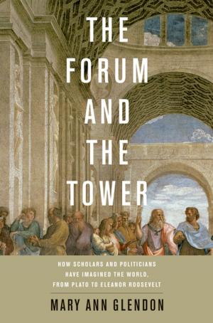 Cover of the book The Forum and the Tower by Rickie Solinger