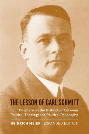 Book cover of The Lesson of Carl Schmitt