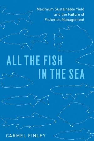 Cover of the book All the Fish in the Sea by Seeta Chaganti
