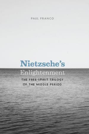 Cover of the book Nietzsche's Enlightenment by Amanda Porterfield