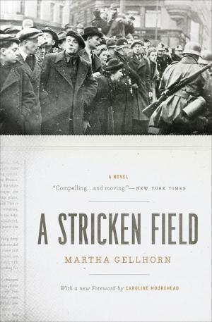 Cover of the book A Stricken Field by Lauren B. Davis
