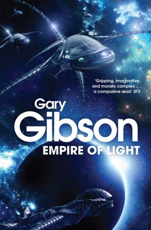 Cover of the book Empire of Light by Sally Slayer