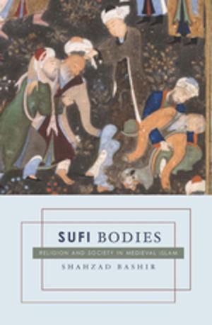 Cover of the book Sufi Bodies by Jared Del Rosso