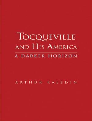 Cover of the book Tocqueville and His America: A Darker Horizon by Brian H. Fishman