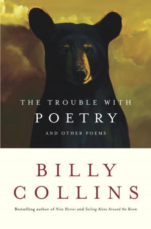 Cover of The Trouble with Poetry