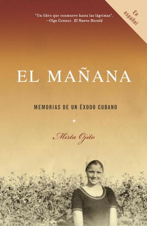 Cover of the book El mañana by Martin Clark