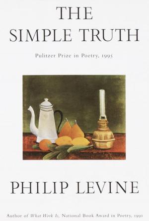 Cover of the book The Simple Truth by Andrew Durkin