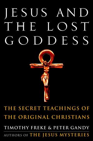 Book cover of Jesus and the Lost Goddess