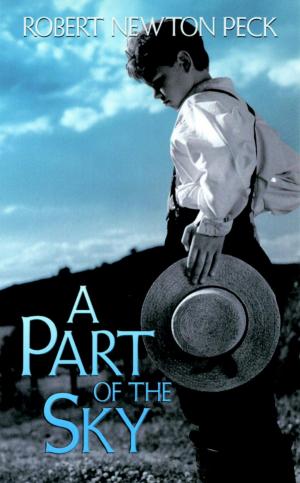 Cover of the book A Part of the Sky by Kevin Sheehan