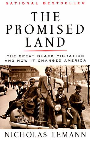 Cover of the book The Promised Land by Andrew Delbanco