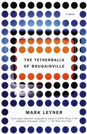 Cover of the book The Tetherballs of Bougainville by Franz Wright
