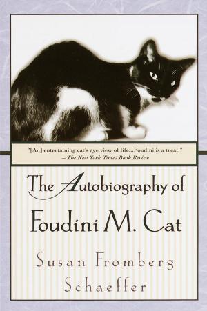 Cover of the book The Autobiography of Foudini M. Cat by David Gibbins
