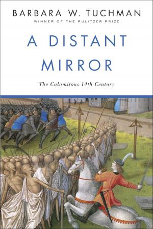 Cover of the book A Distant Mirror by Gary Gusick