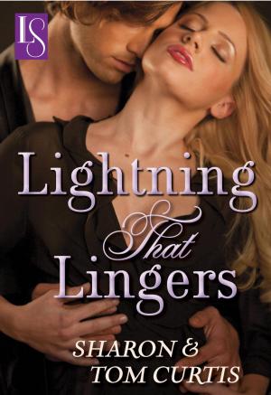 Cover of the book Lightning that Lingers by Barbara Fister