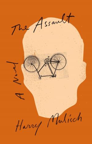 Cover of the book The Assault by James Salter