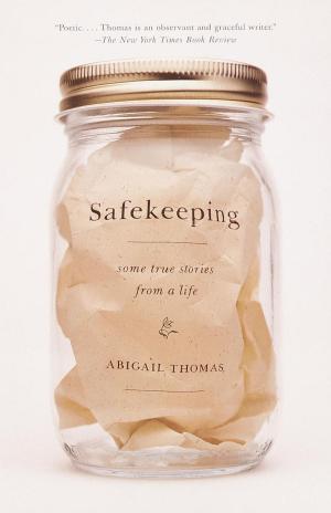 Cover of the book Safekeeping by Ben Marcus